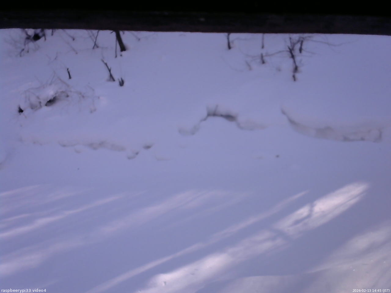 長野県菅平高原 ゆたか山荘 東側(坂下) 2026/02/13 14:45