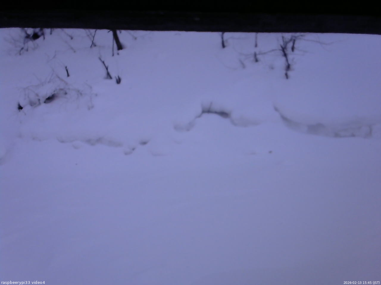 長野県菅平高原 ゆたか山荘 東側(坂下) 2026/02/13 15:45