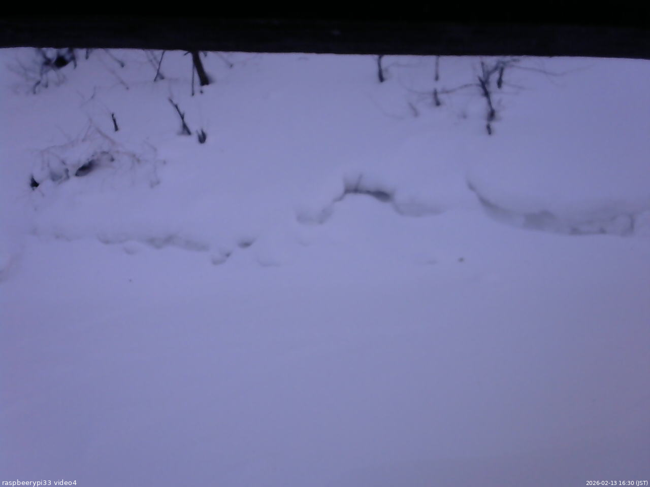 長野県菅平高原 ゆたか山荘 東側(坂下) 2026/02/13 16:30