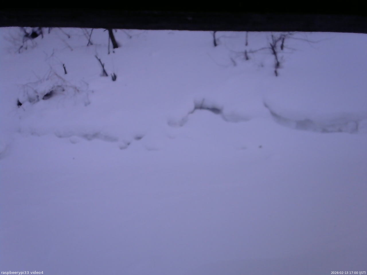 長野県菅平高原 ゆたか山荘 東側(坂下) 2026/02/13 17:00