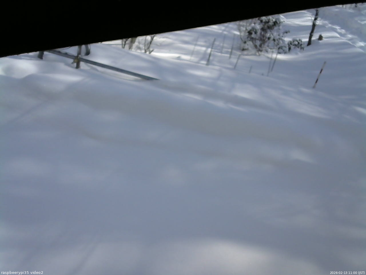 長野県菅平高原 ゆたか山荘 駐車場 2026/02/13 11:00