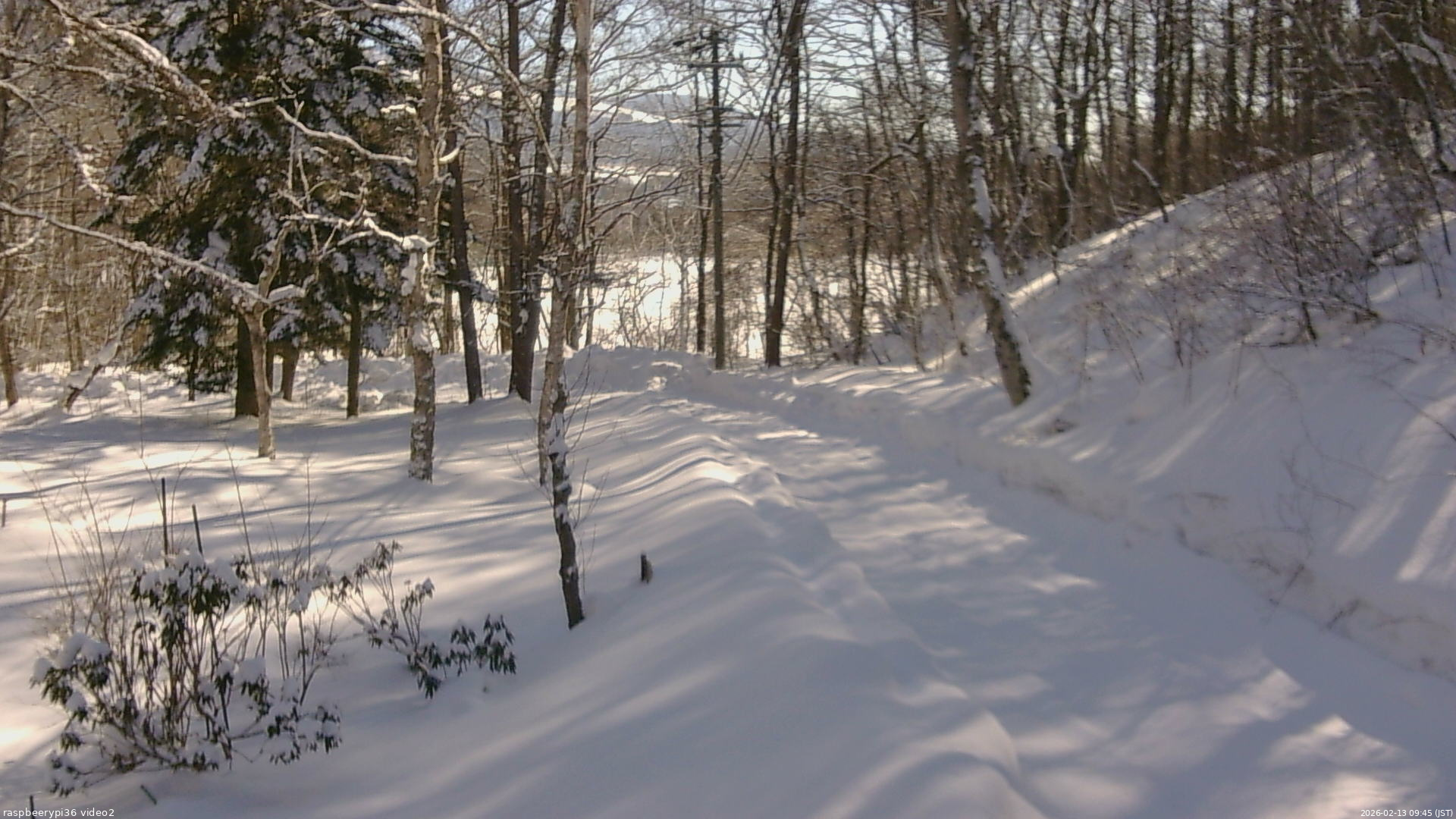 長野県菅平高原 ゆたか山荘 駐車場奥 2026/02/13 09:45