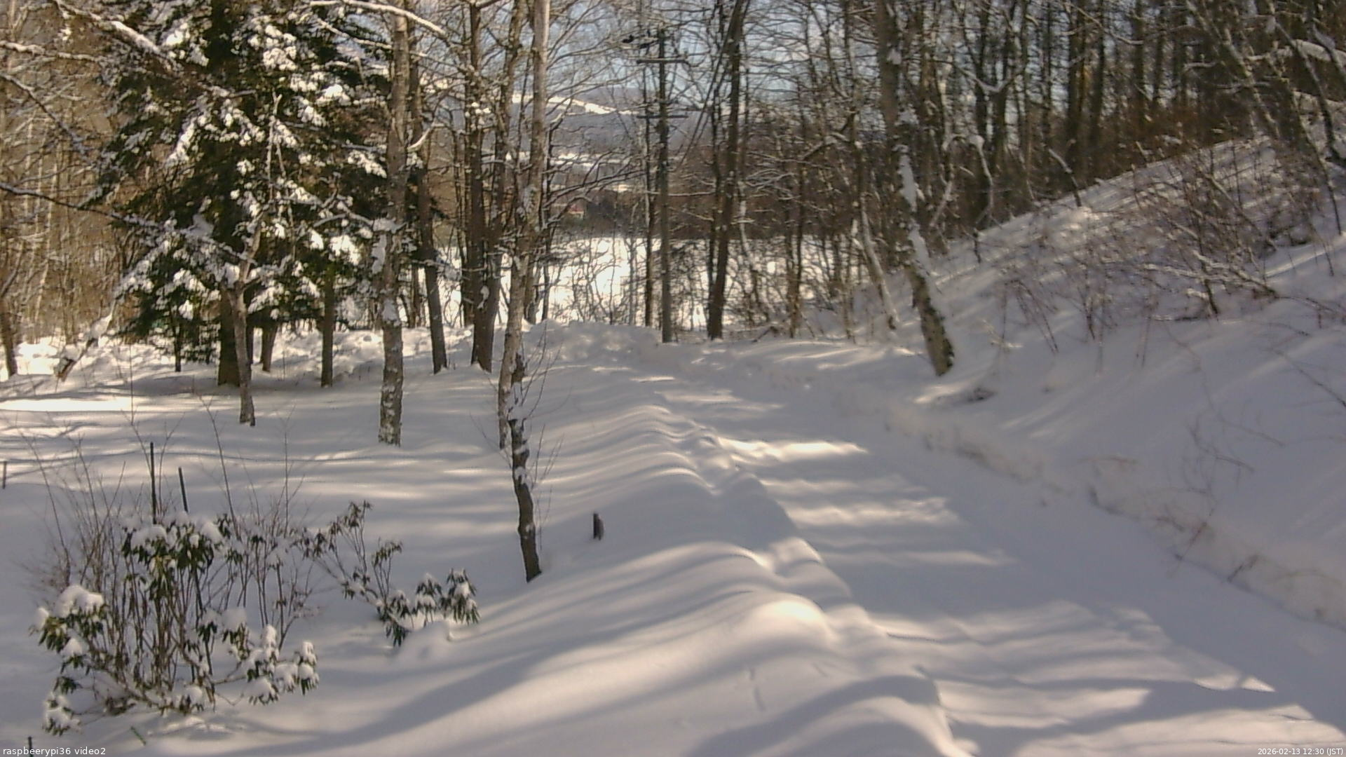 長野県菅平高原 ゆたか山荘 駐車場奥 2026/02/13 12:30