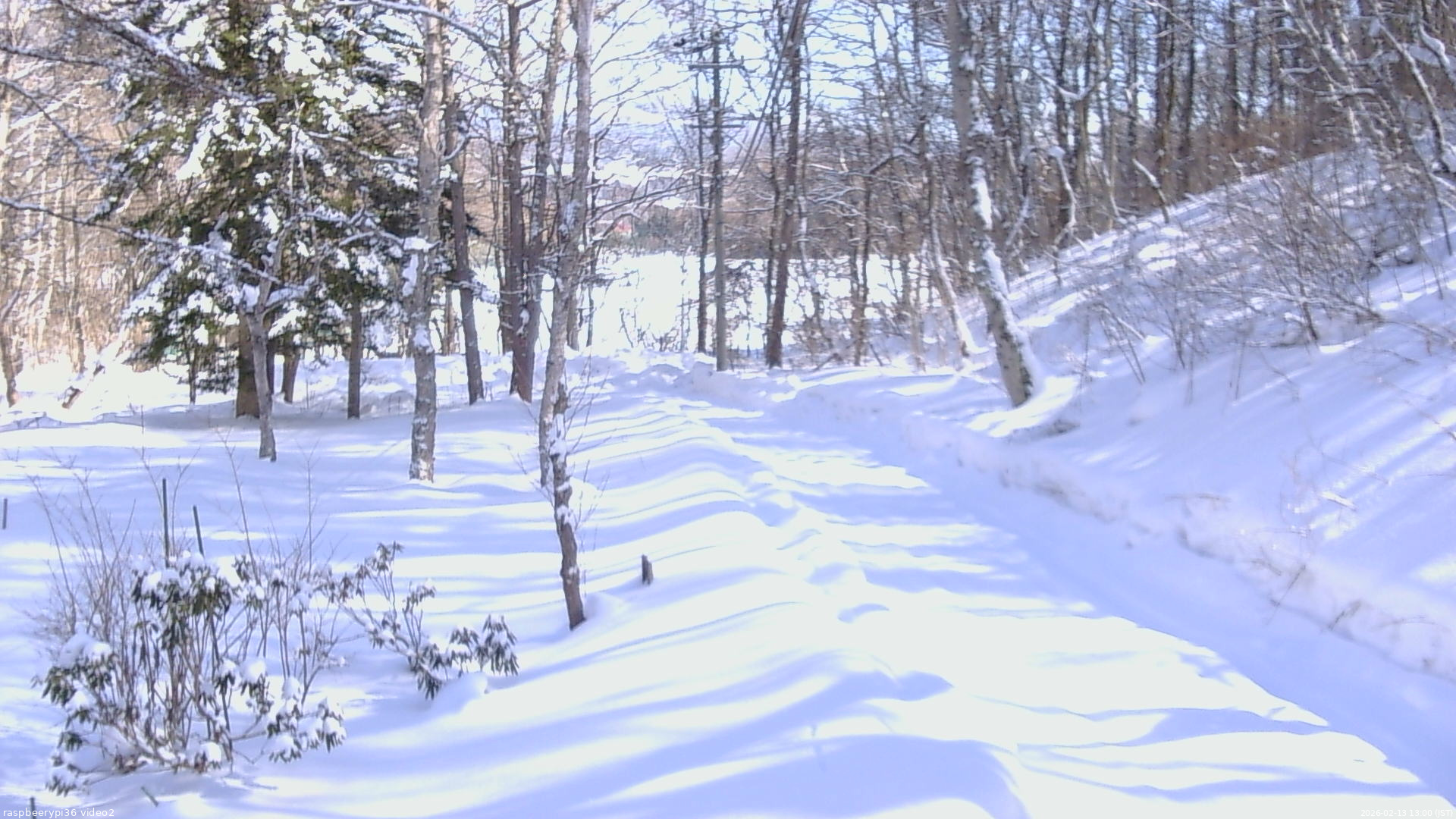 長野県菅平高原 ゆたか山荘 駐車場奥 2026/02/13 13:00