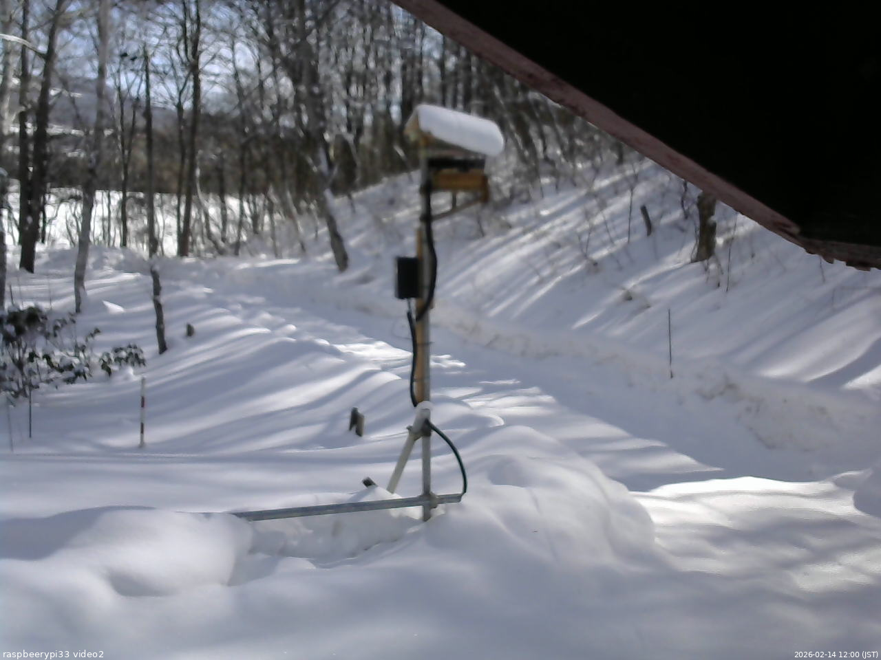 長野県菅平高原 ゆたか山荘 南側 2026/02/14 12:00