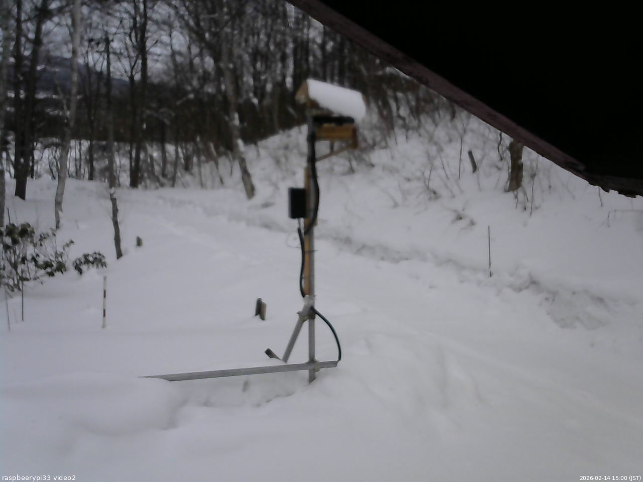 長野県菅平高原 ゆたか山荘 南側 2026/02/14 15:00