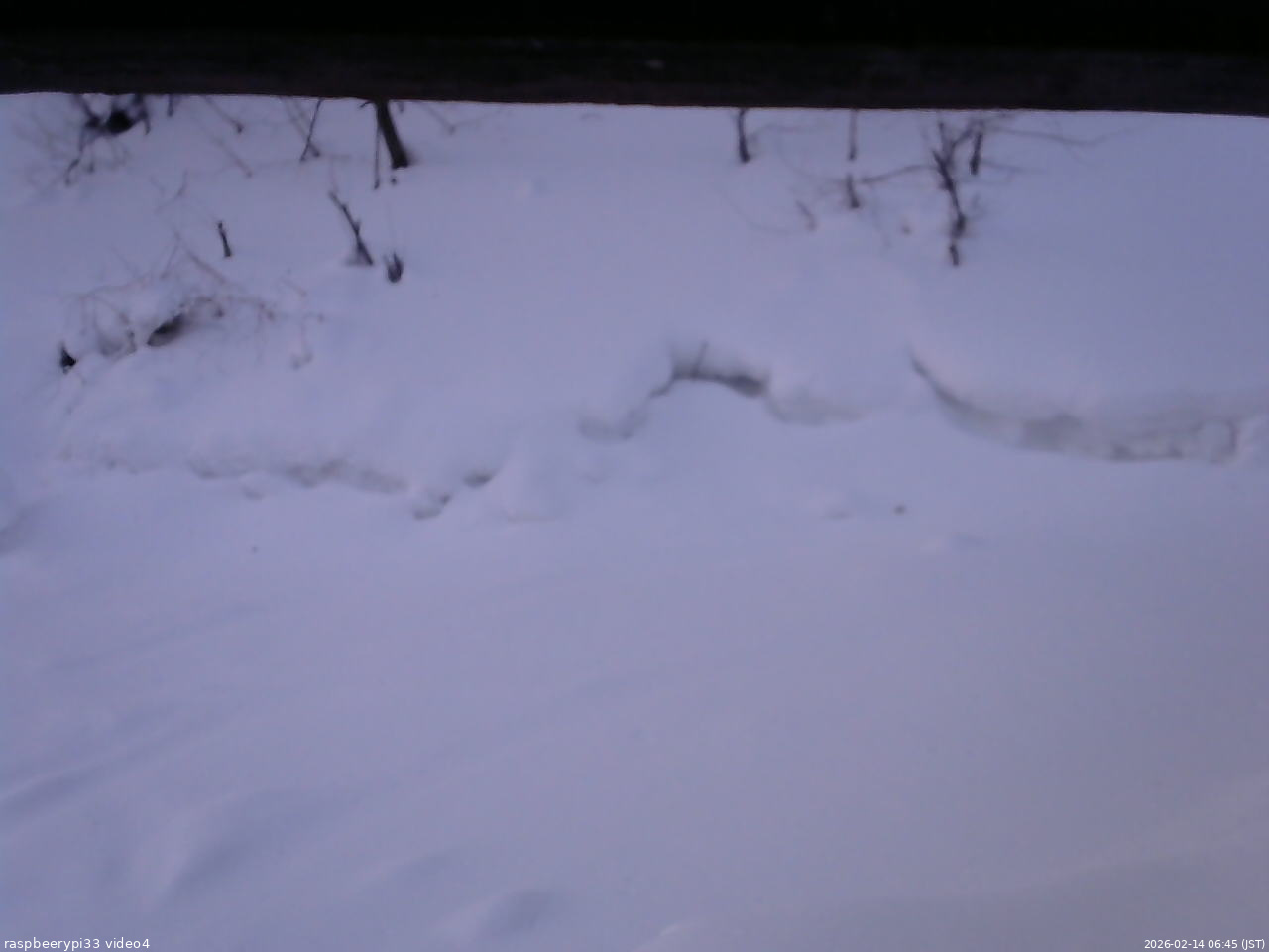 長野県菅平高原 ゆたか山荘 東側(坂下) 2026/02/14 06:45