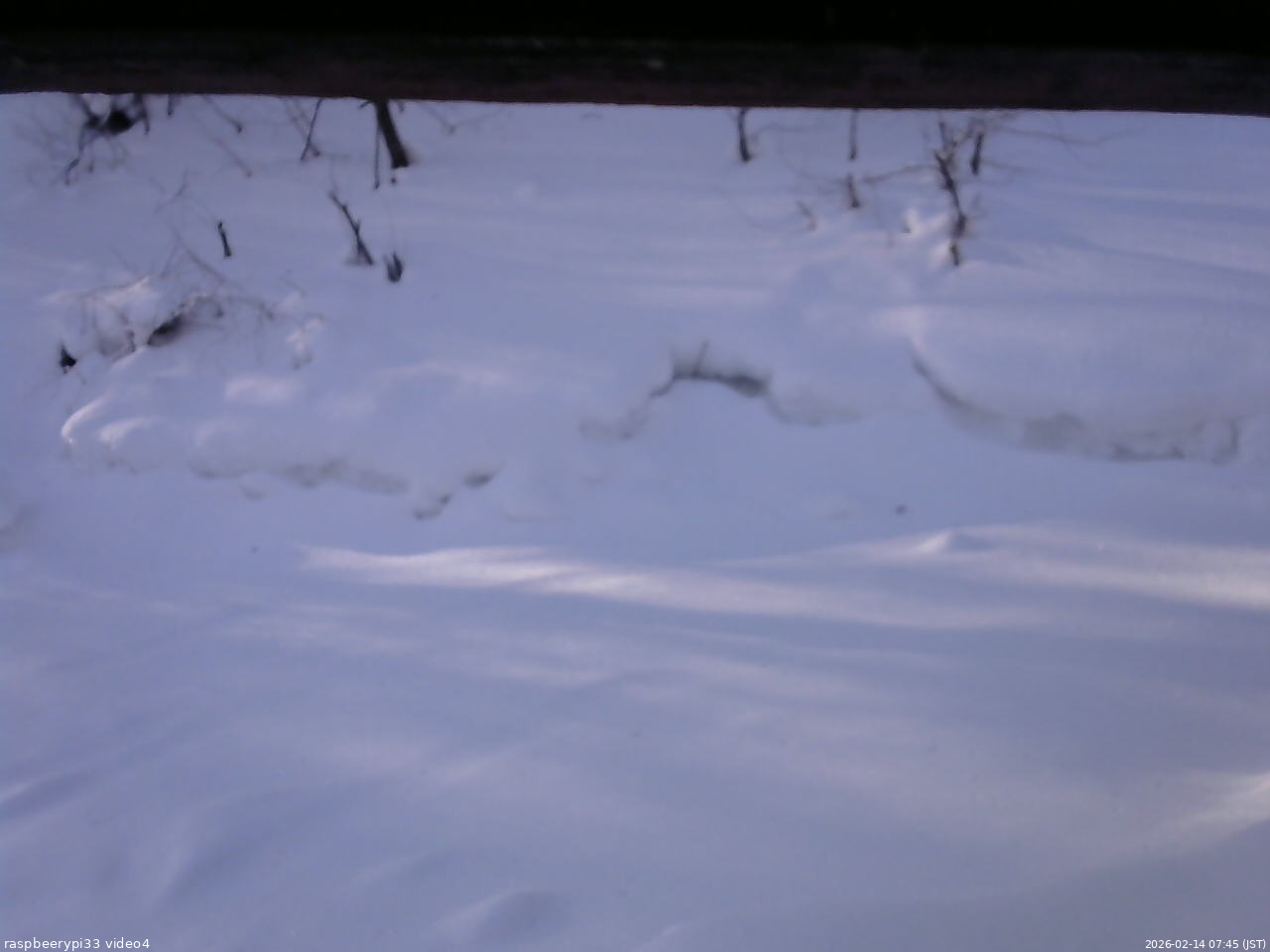 長野県菅平高原 ゆたか山荘 東側(坂下) 2026/02/14 07:45