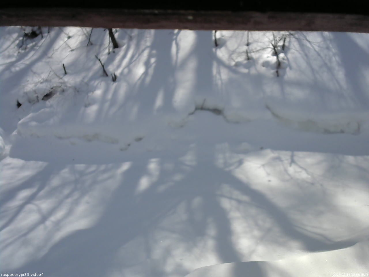 長野県菅平高原 ゆたか山荘 東側(坂下) 2026/02/14 12:00