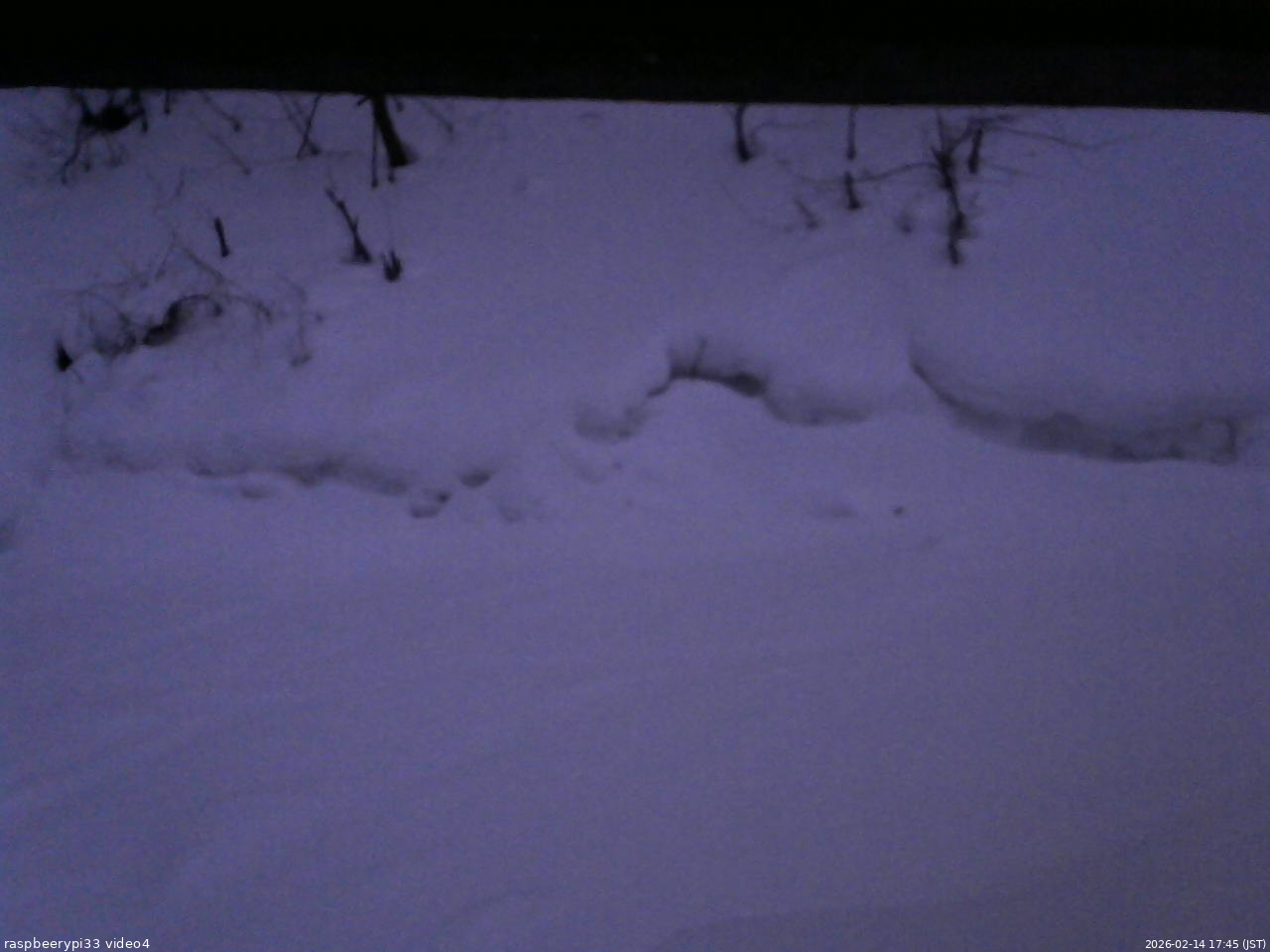 長野県菅平高原 ゆたか山荘 東側(坂下) 2026/02/14 17:45
