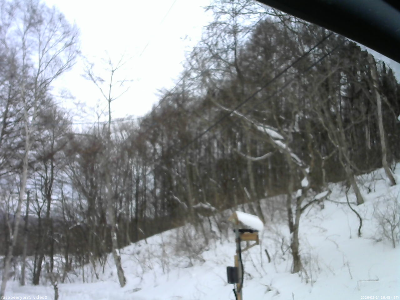 長野県菅平高原 ゆたか山荘 温度計 2026/02/14 16:45