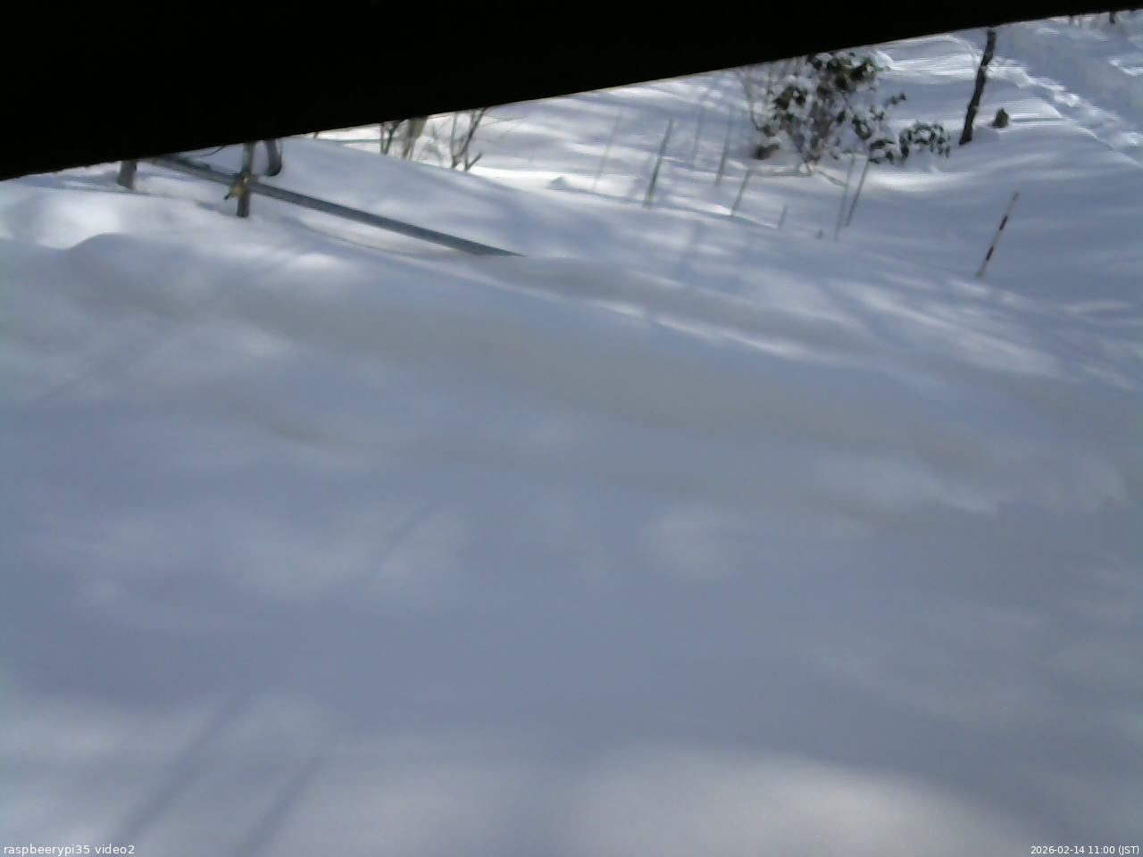 長野県菅平高原 ゆたか山荘 駐車場 2026/02/14 11:00