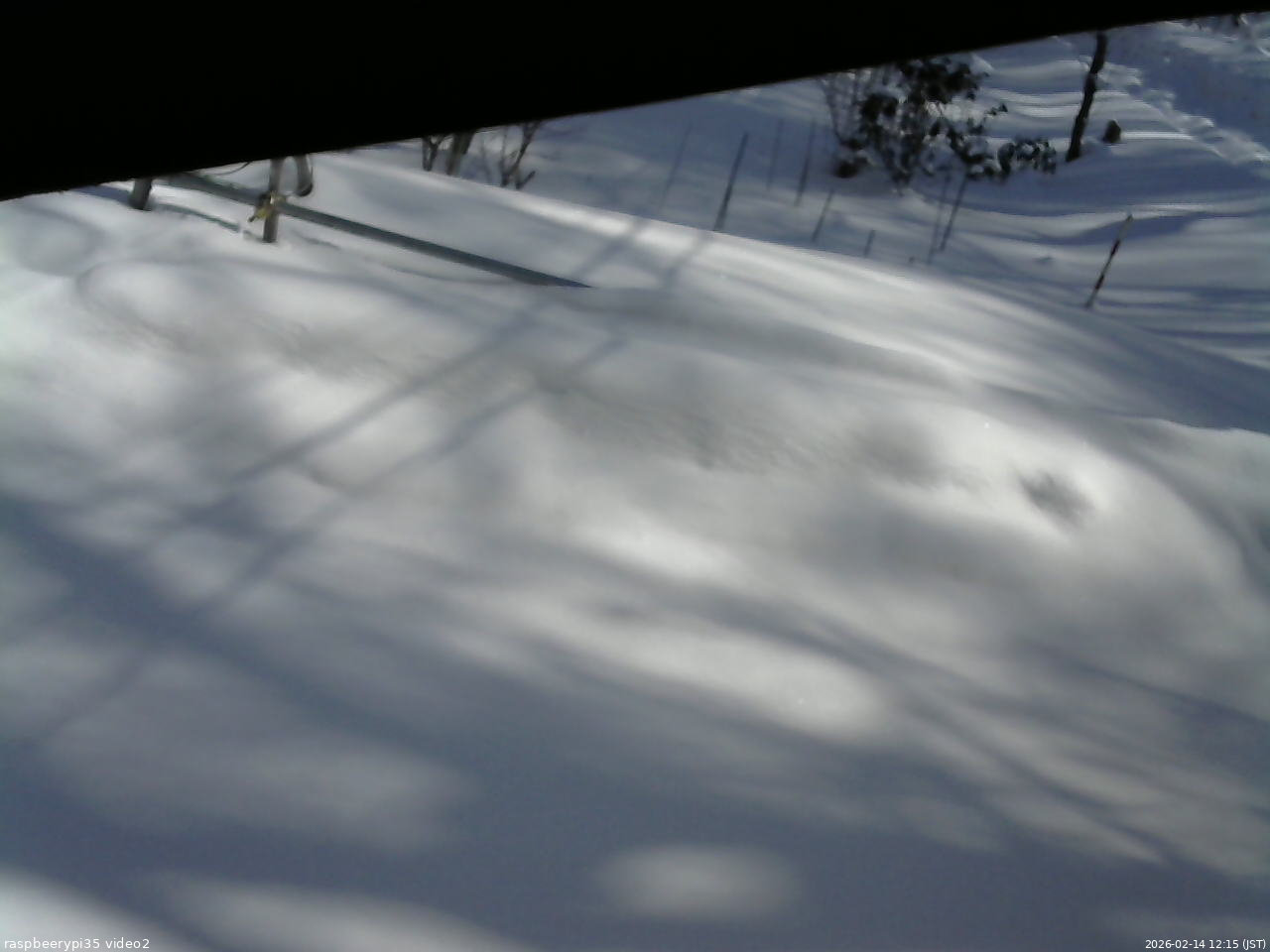 長野県菅平高原 ゆたか山荘 駐車場 2026/02/14 12:15