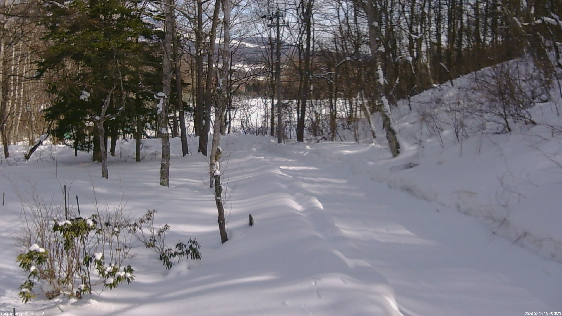 長野県菅平高原 ゆたか山荘 駐車場奥 2026/02/14 13:45