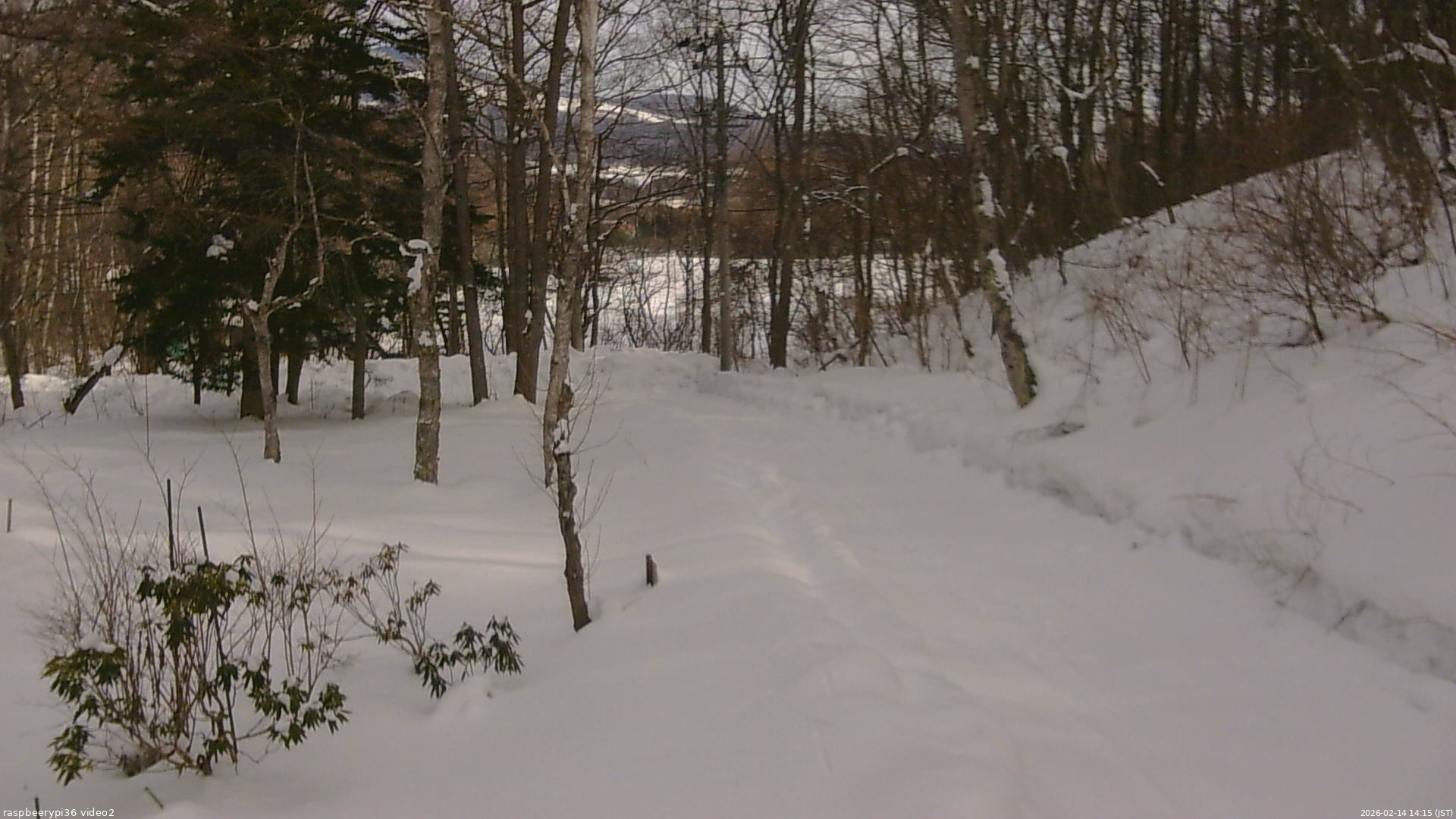 長野県菅平高原 ゆたか山荘 駐車場奥 2026/02/14 14:15
