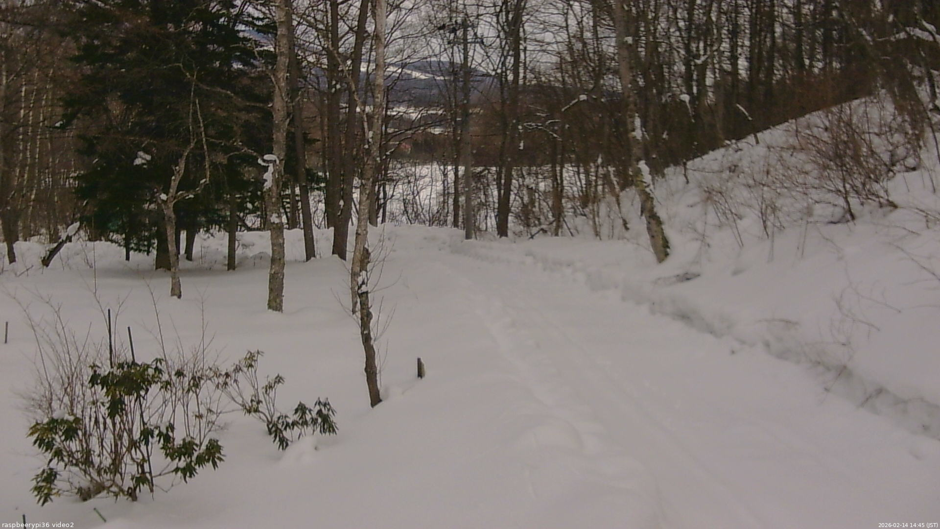 長野県菅平高原 ゆたか山荘 駐車場奥 2026/02/14 14:45