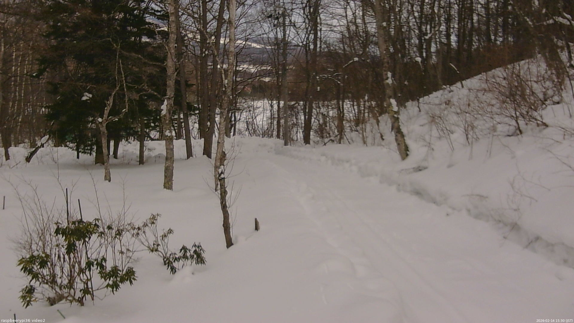 長野県菅平高原 ゆたか山荘 駐車場奥 2026/02/14 15:30