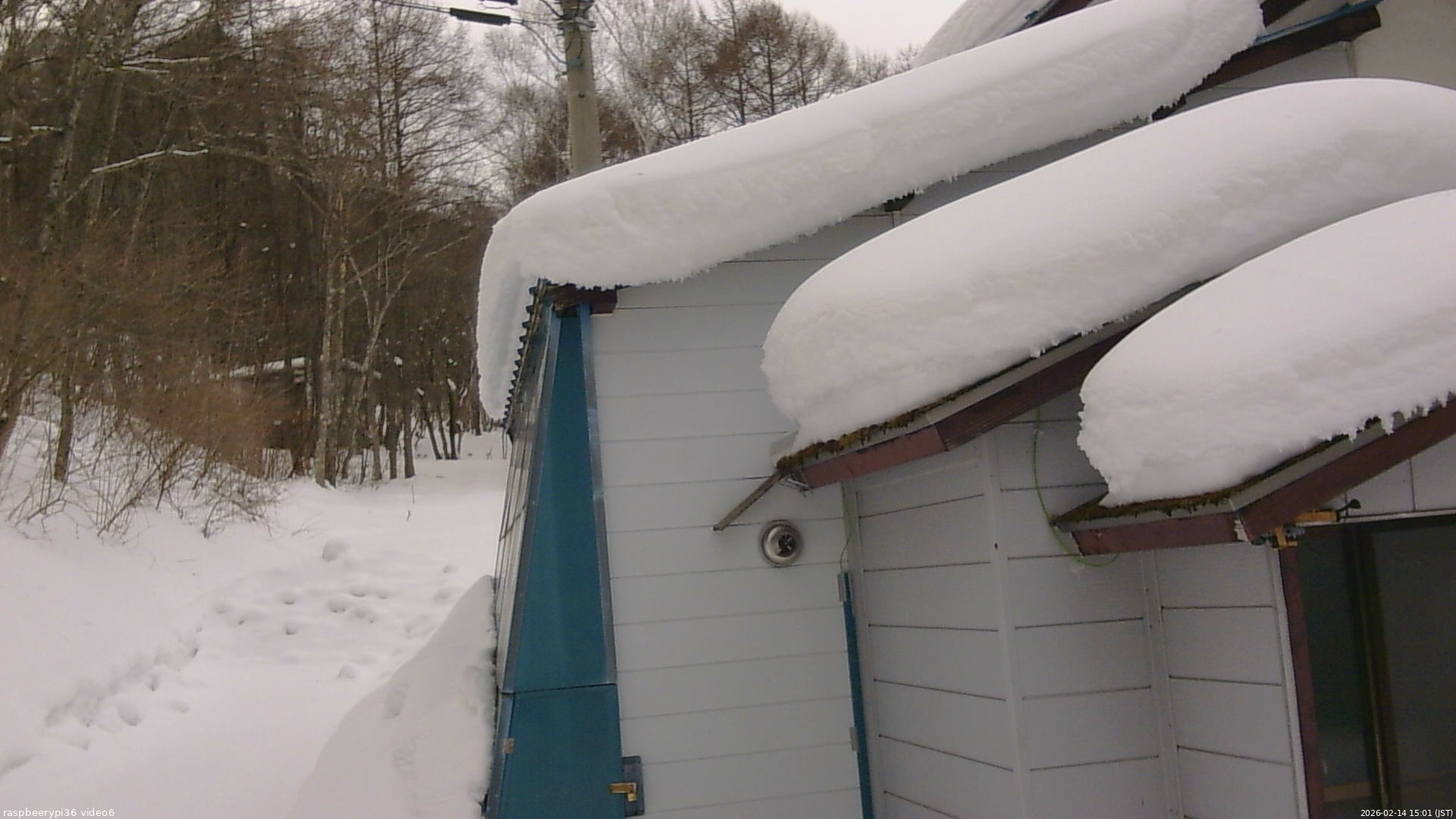 長野県菅平高原 ゆたか山荘 坂下 2026/02/14 15:00