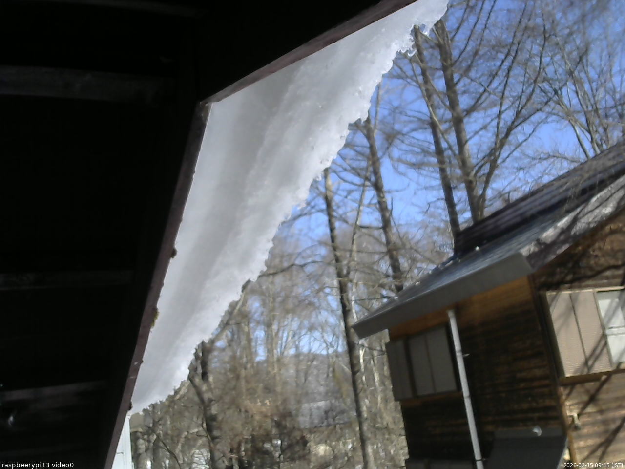 長野県菅平高原 ゆたか山荘 北側 2026/02/15 09:45