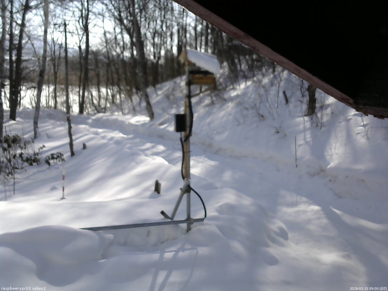 長野県菅平高原 ゆたか山荘 南側 2026/02/15 09:00