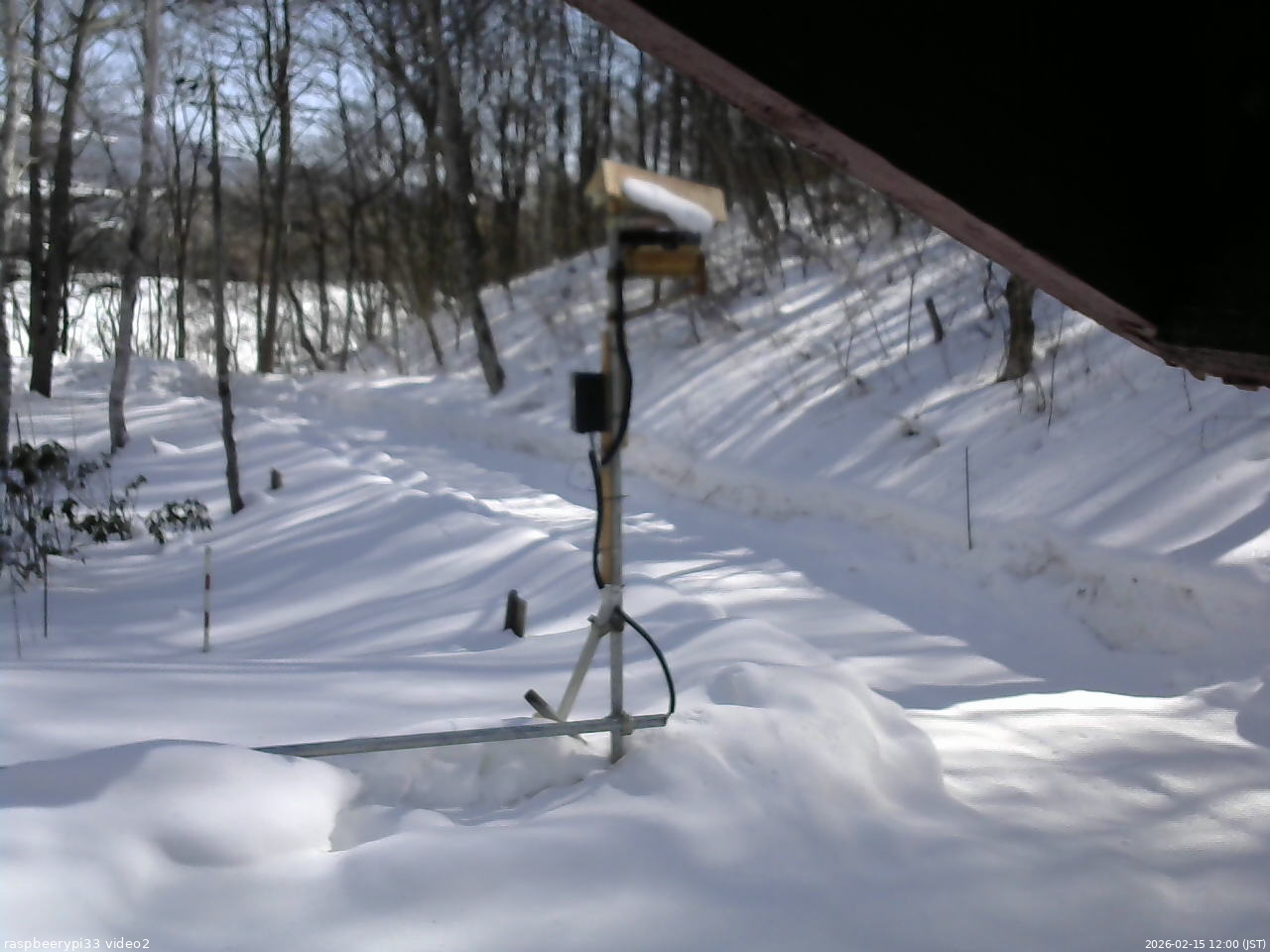 長野県菅平高原 ゆたか山荘 南側 2026/02/15 12:00