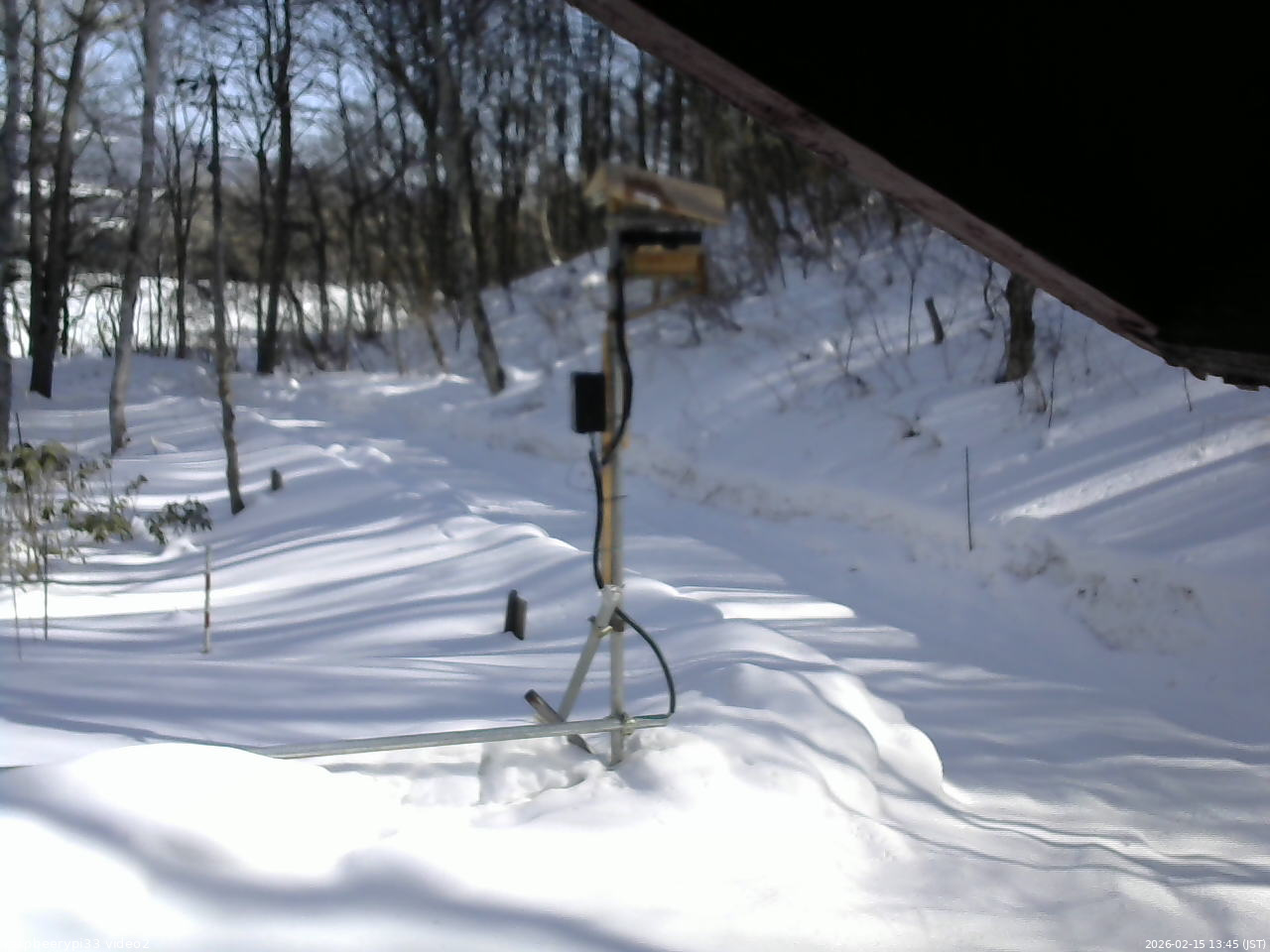 長野県菅平高原 ゆたか山荘 南側 2026/02/15 13:45