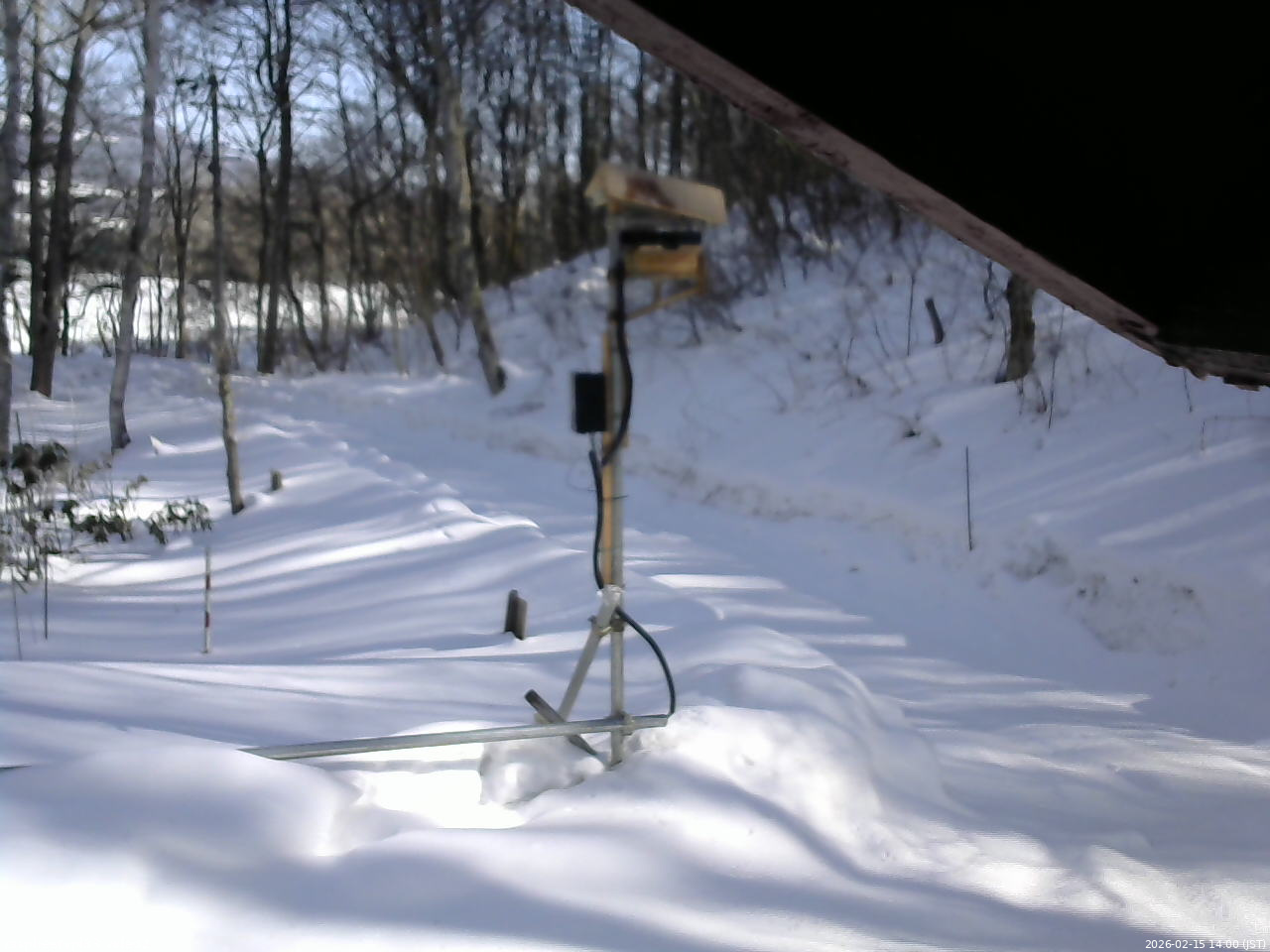長野県菅平高原 ゆたか山荘 南側 2026/02/15 14:00