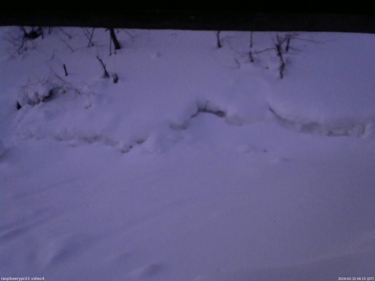 長野県菅平高原 ゆたか山荘 東側(坂下) 2026/02/15 06:15
