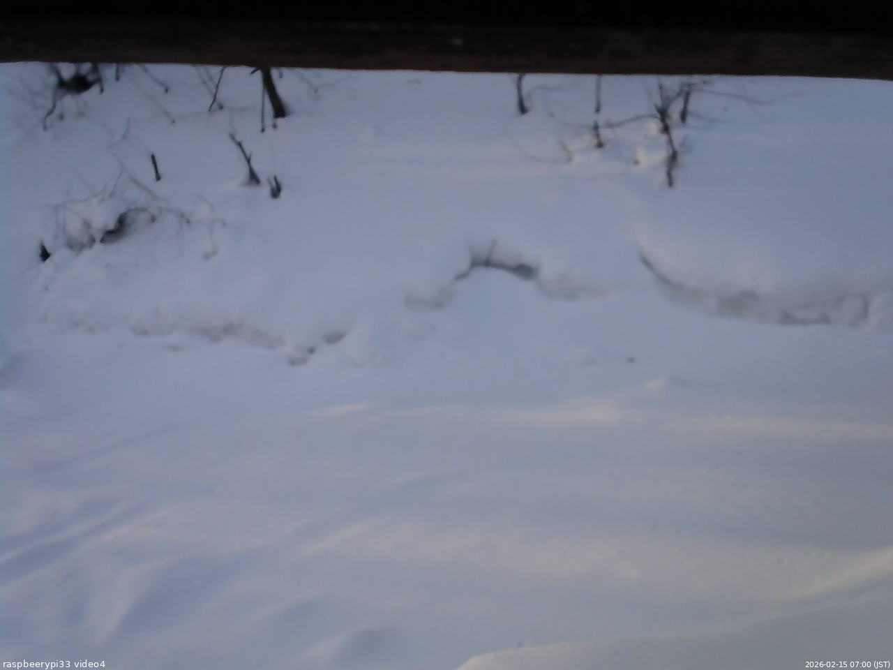 長野県菅平高原 ゆたか山荘 東側(坂下) 2026/02/15 07:00