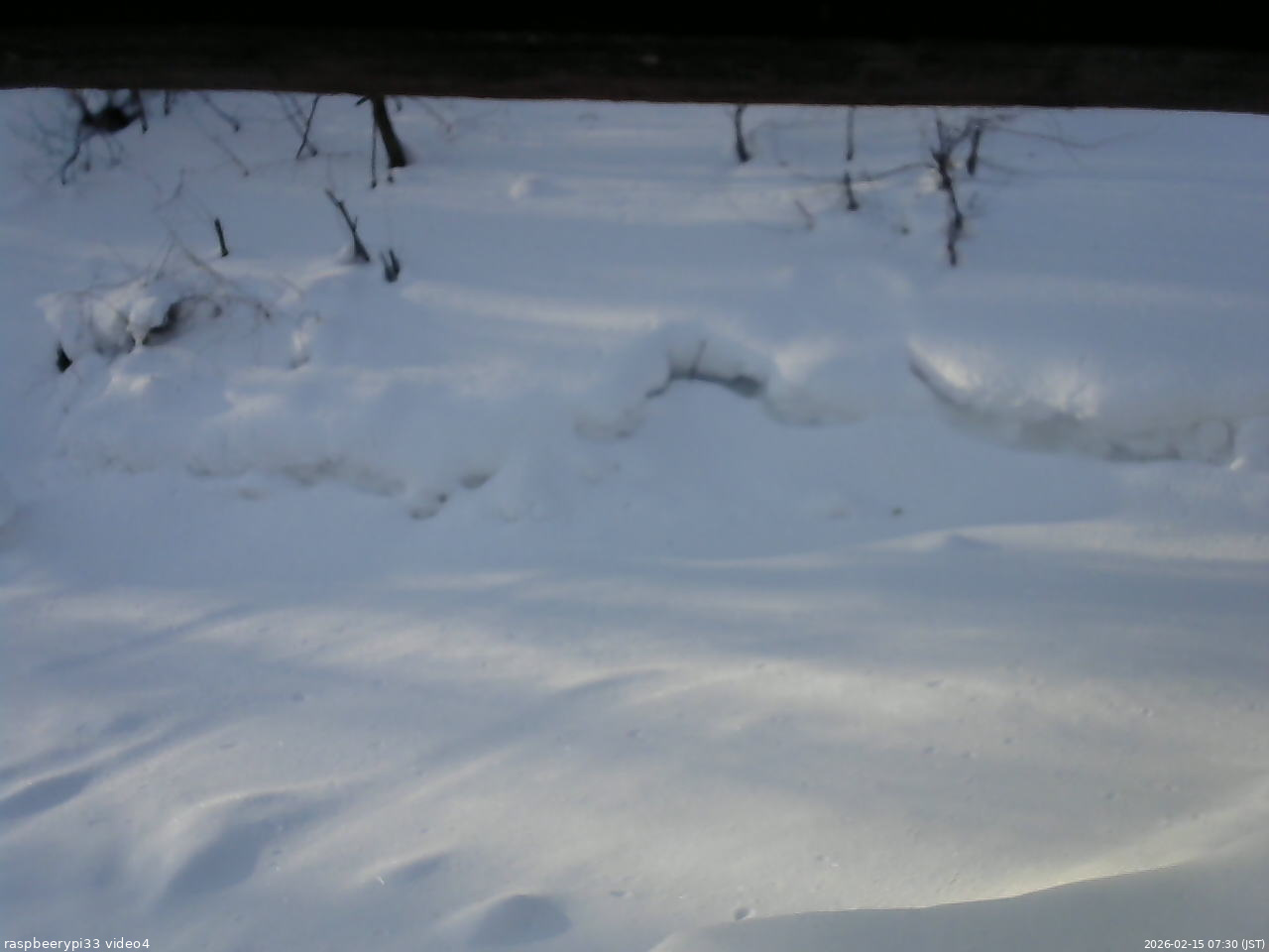 長野県菅平高原 ゆたか山荘 東側(坂下) 2026/02/15 07:30