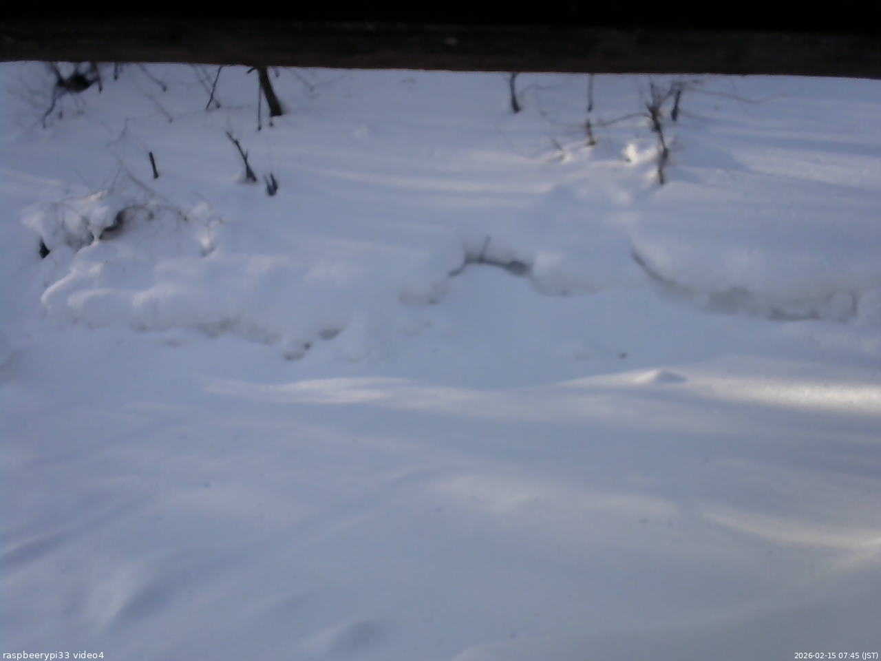 長野県菅平高原 ゆたか山荘 東側(坂下) 2026/02/15 07:45