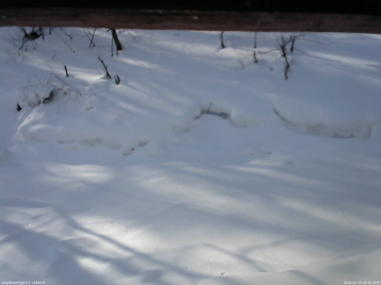 長野県菅平高原 ゆたか山荘 東側(坂下) 2026/02/15 08:45