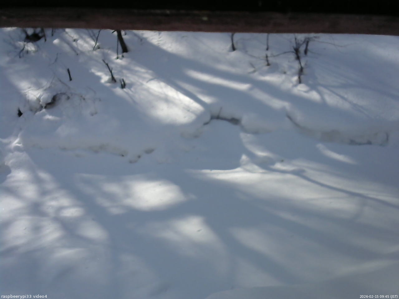 長野県菅平高原 ゆたか山荘 東側(坂下) 2026/02/15 09:45
