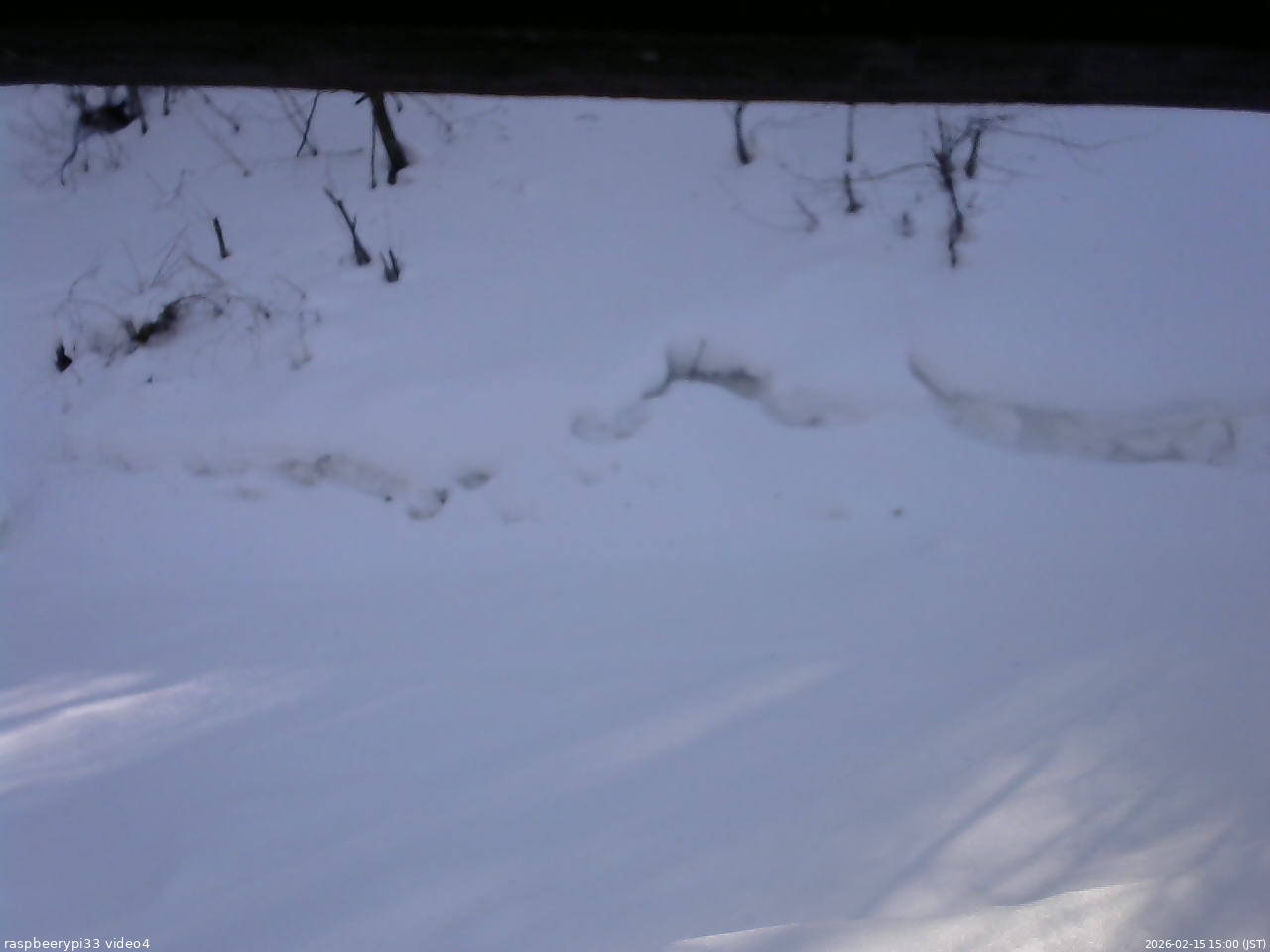 長野県菅平高原 ゆたか山荘 東側(坂下) 2026/02/15 15:00