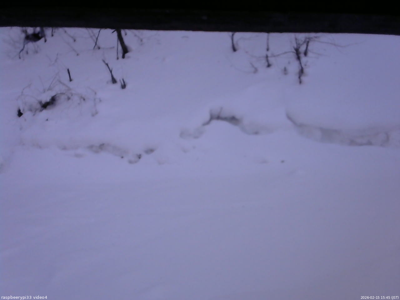 長野県菅平高原 ゆたか山荘 東側(坂下) 2026/02/15 15:45