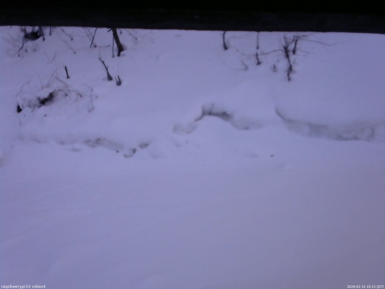 長野県菅平高原 ゆたか山荘 東側(坂下) 2026/02/15 16:15