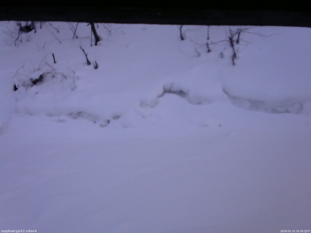 長野県菅平高原 ゆたか山荘 東側(坂下) 2026/02/15 16:30