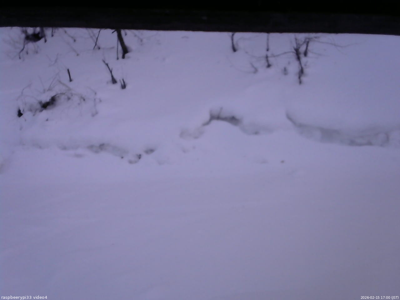 長野県菅平高原 ゆたか山荘 東側(坂下) 2026/02/15 17:00
