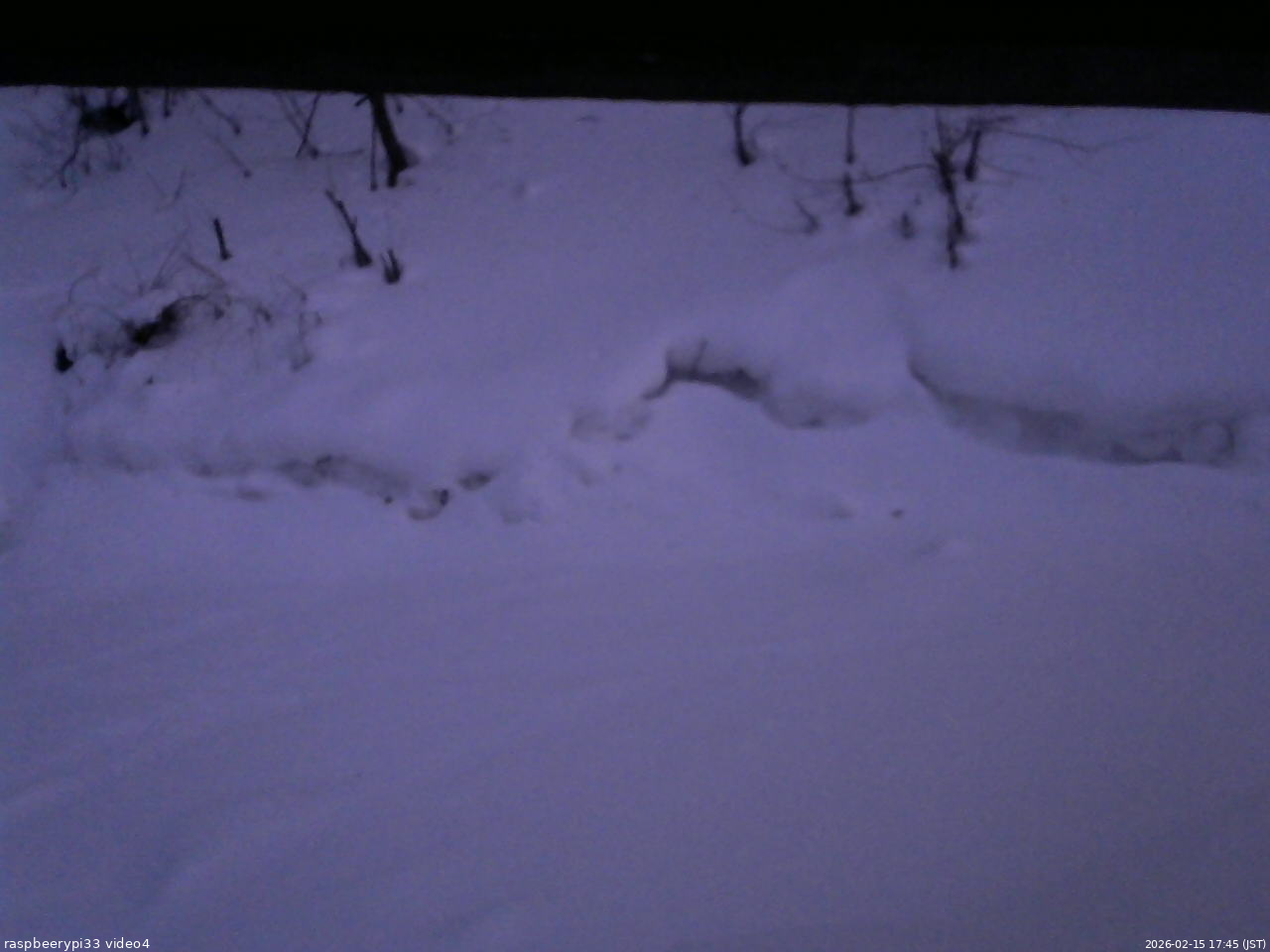 長野県菅平高原 ゆたか山荘 東側(坂下) 2026/02/15 17:45