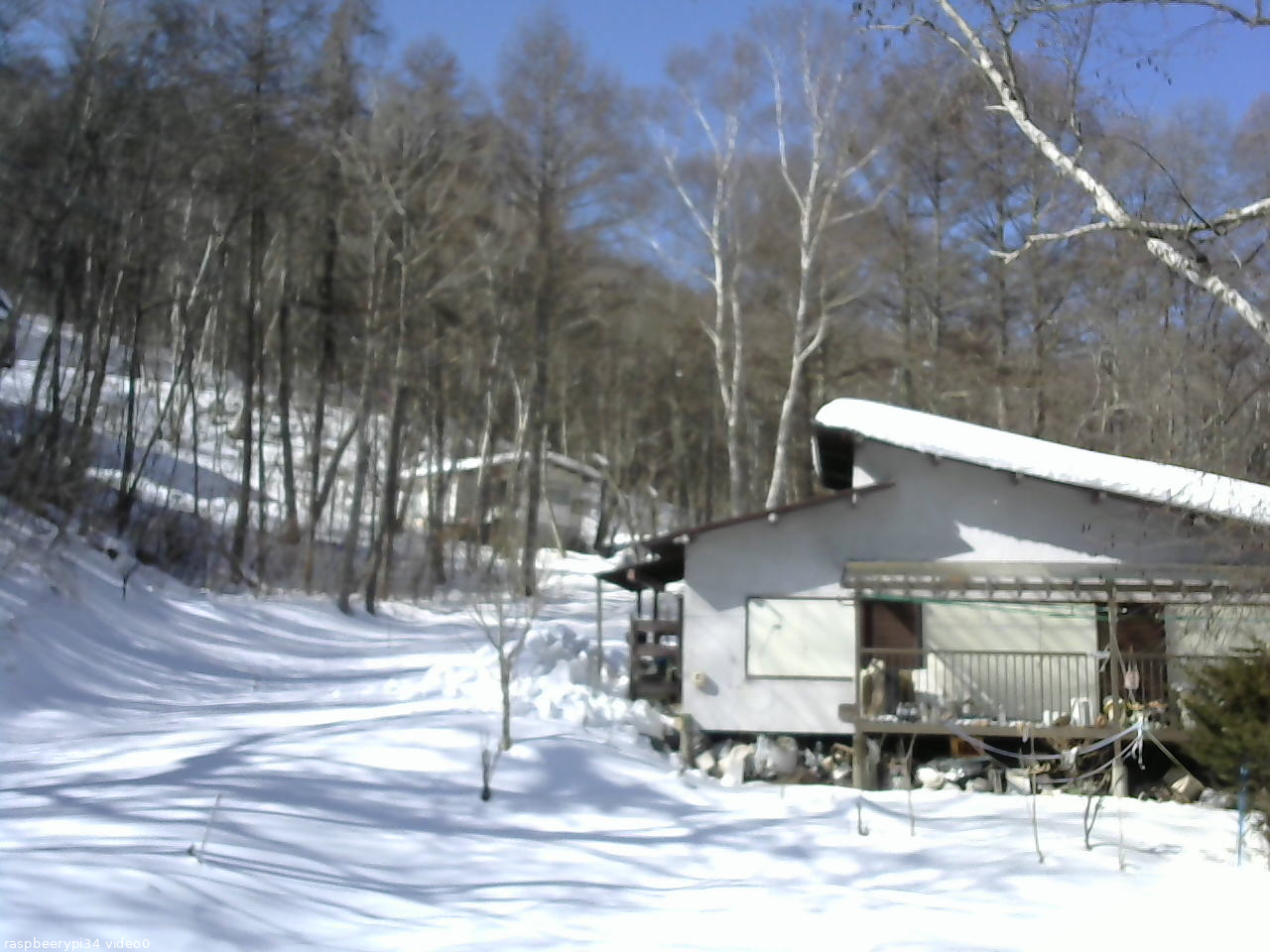 長野県菅平高原 ゆたか山荘 西側(坂上) 2026/02/15 10:30