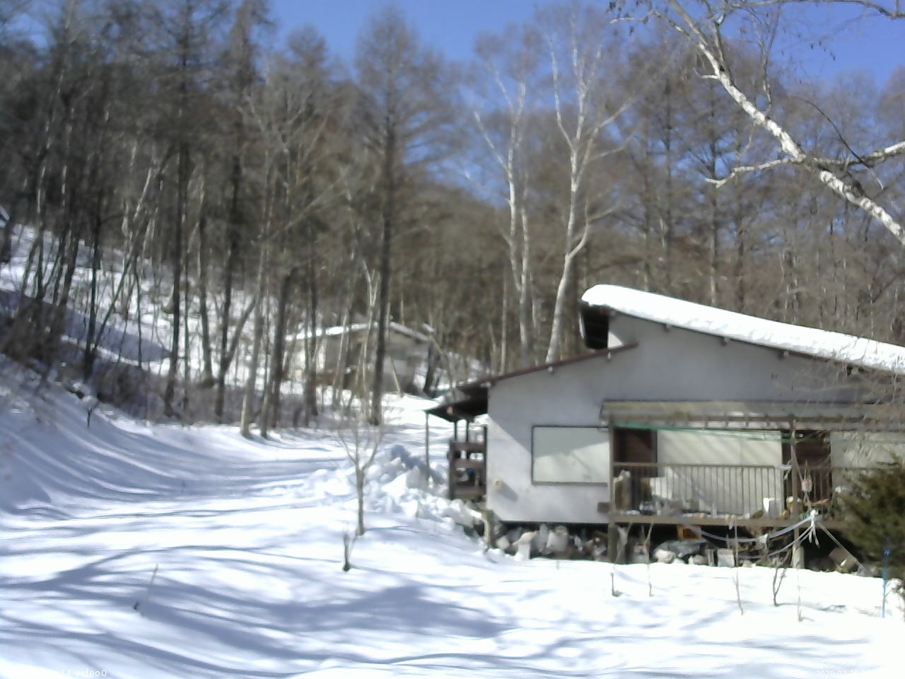 長野県菅平高原 ゆたか山荘 西側(坂上) 2026/02/15 11:00