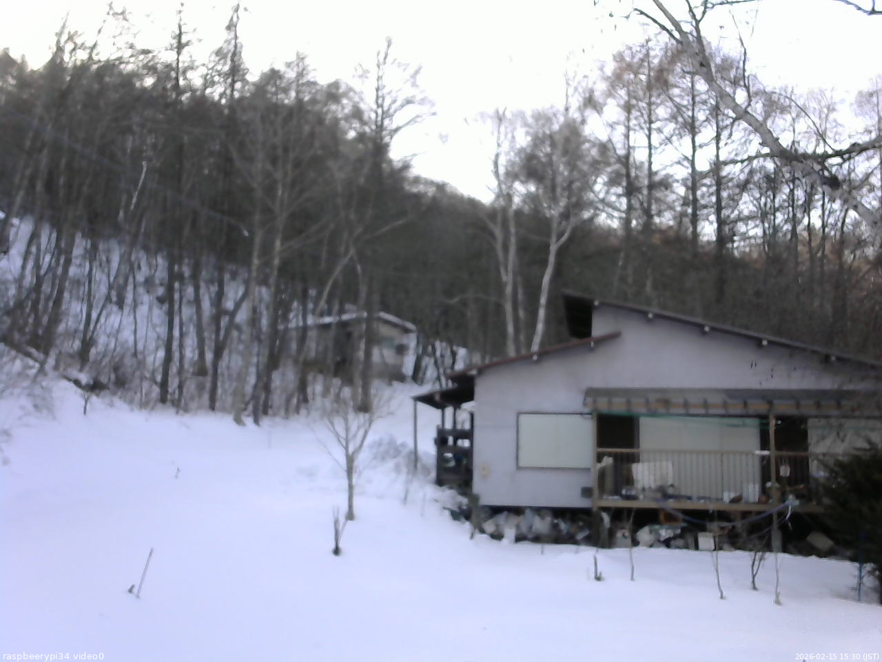 長野県菅平高原 ゆたか山荘 西側(坂上) 2026/02/15 15:30