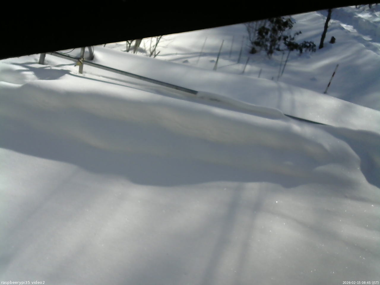 長野県菅平高原 ゆたか山荘 駐車場 2026/02/15 08:45