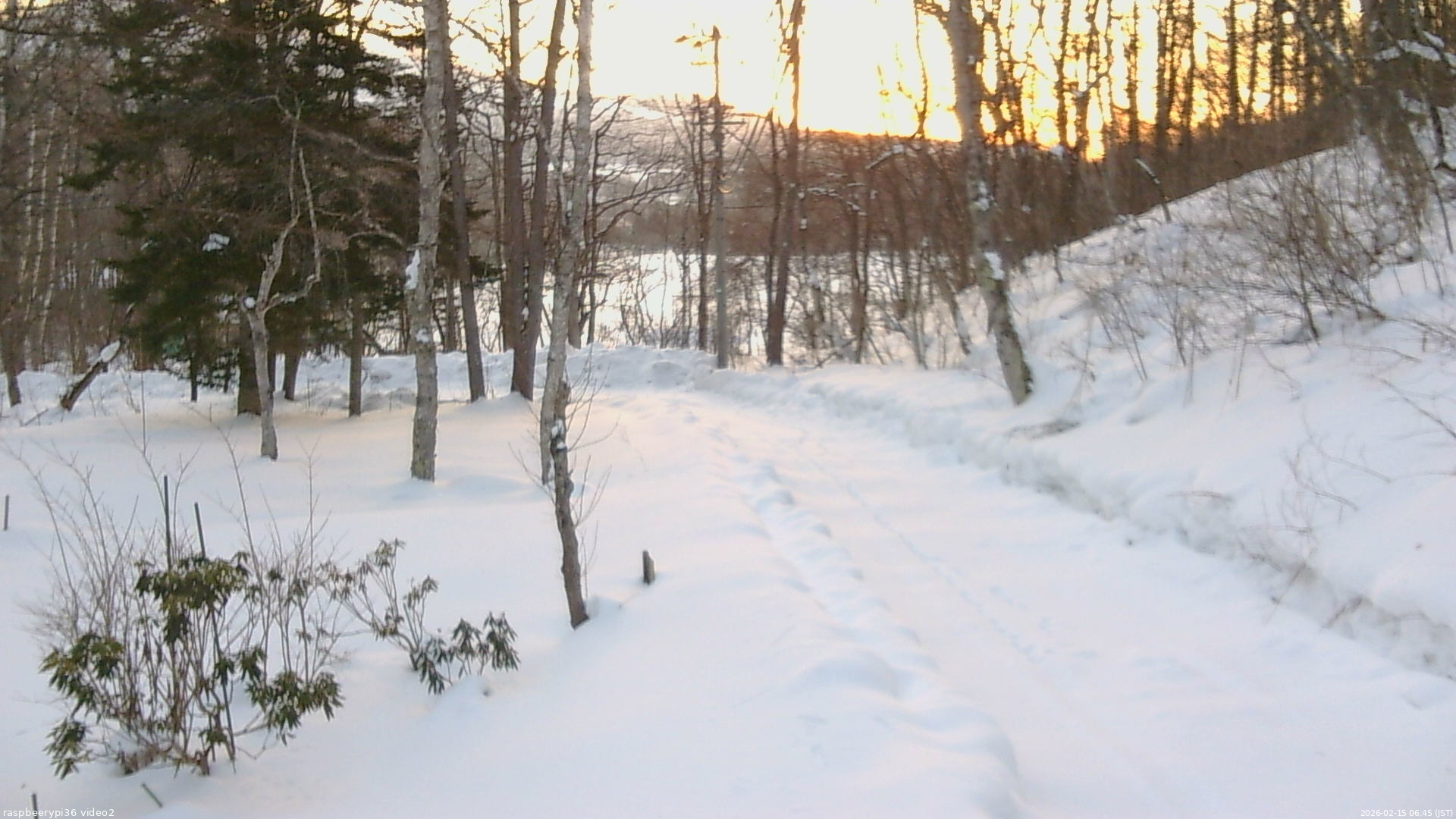 長野県菅平高原 ゆたか山荘 駐車場奥 2026/02/15 06:45