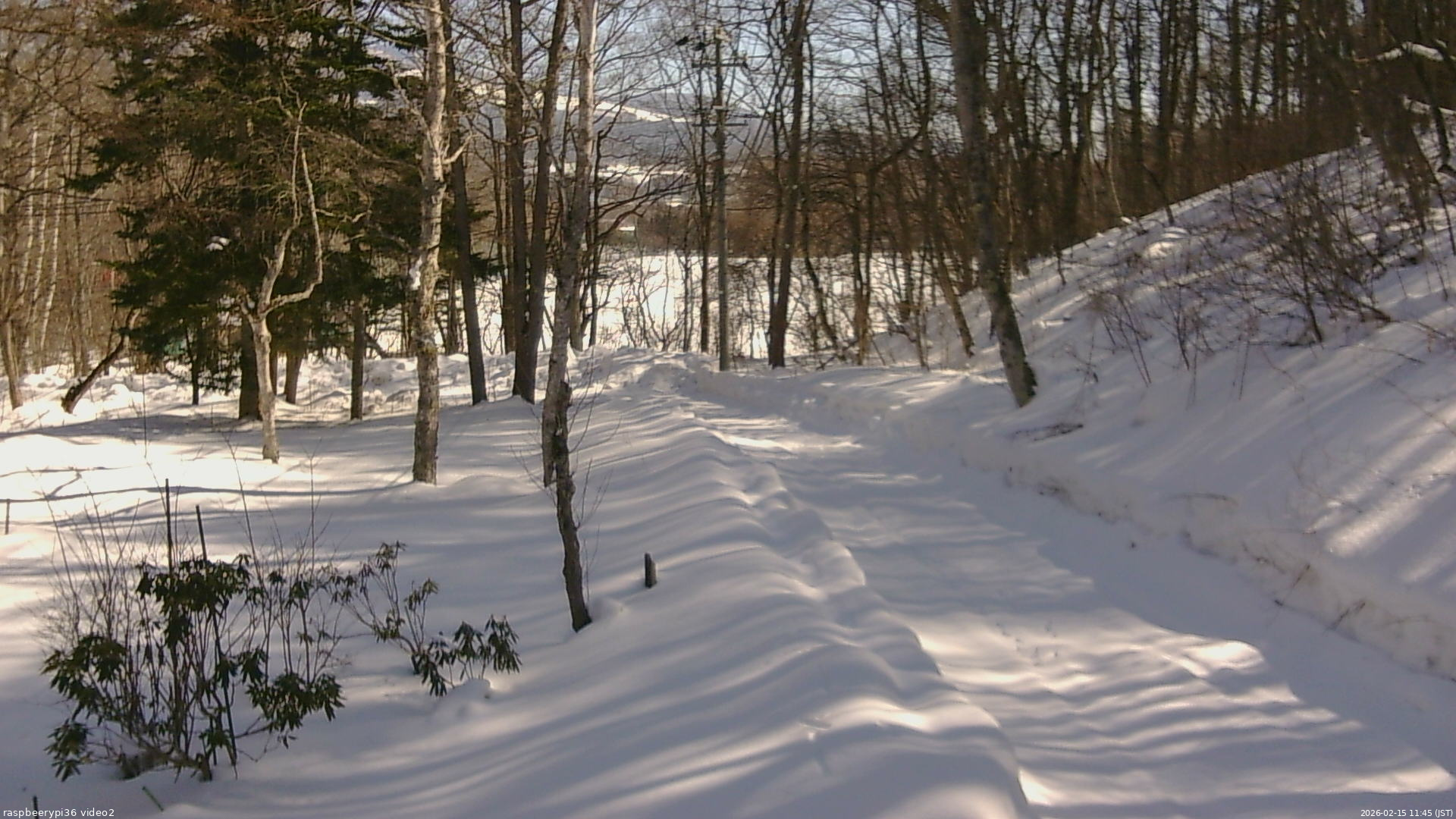 長野県菅平高原 ゆたか山荘 駐車場奥 2026/02/15 11:45