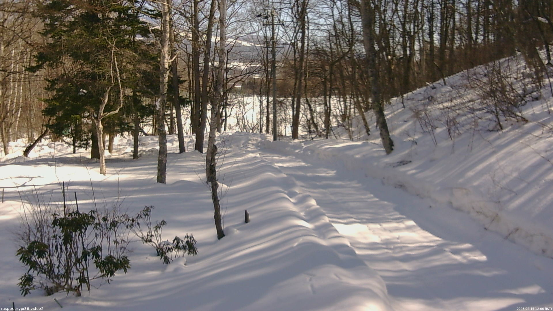 長野県菅平高原 ゆたか山荘 駐車場奥 2026/02/15 12:00