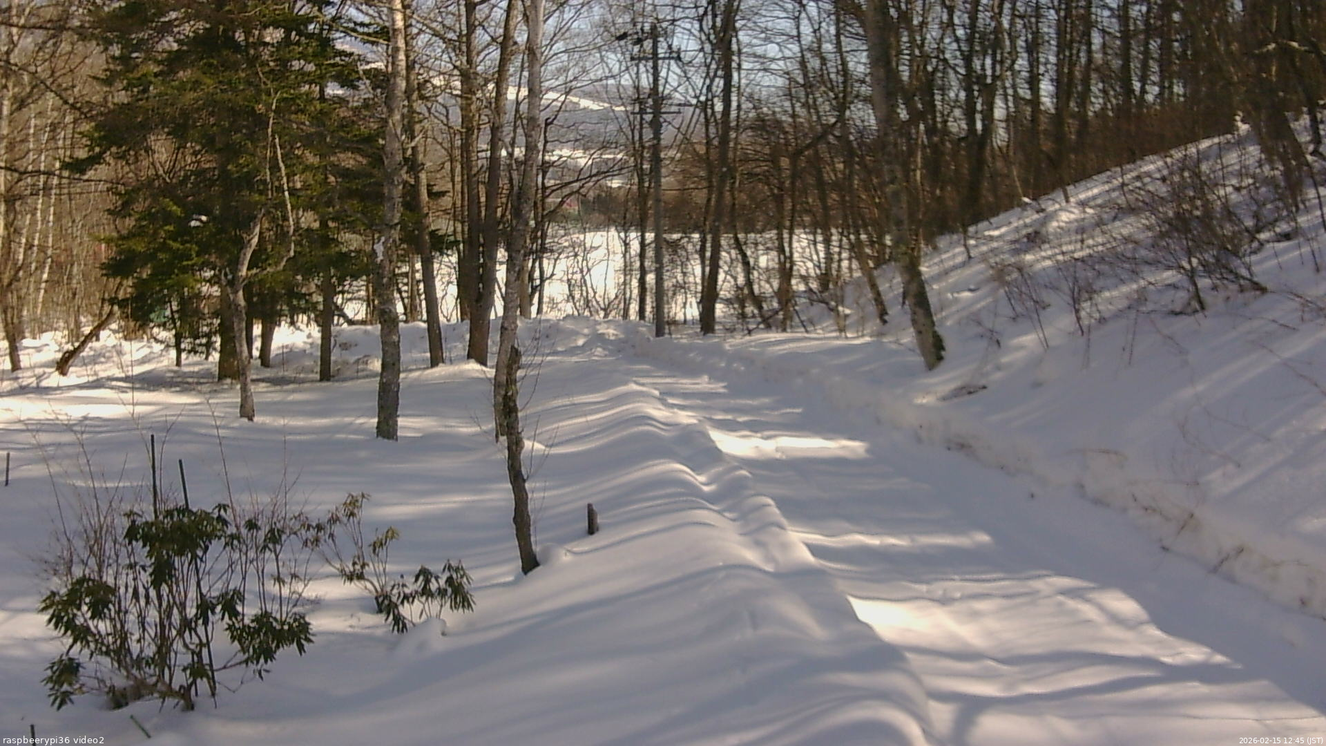 長野県菅平高原 ゆたか山荘 駐車場奥 2026/02/15 12:45