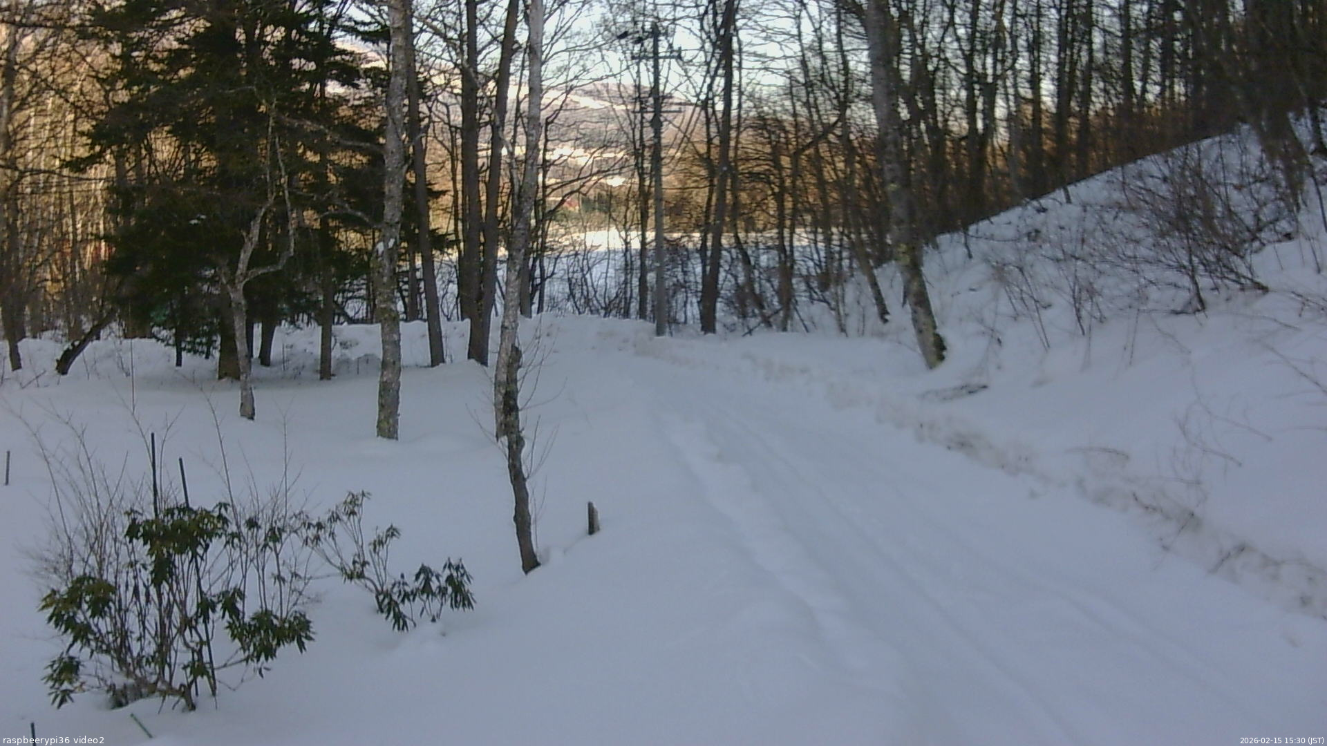 長野県菅平高原 ゆたか山荘 駐車場奥 2026/02/15 15:30
