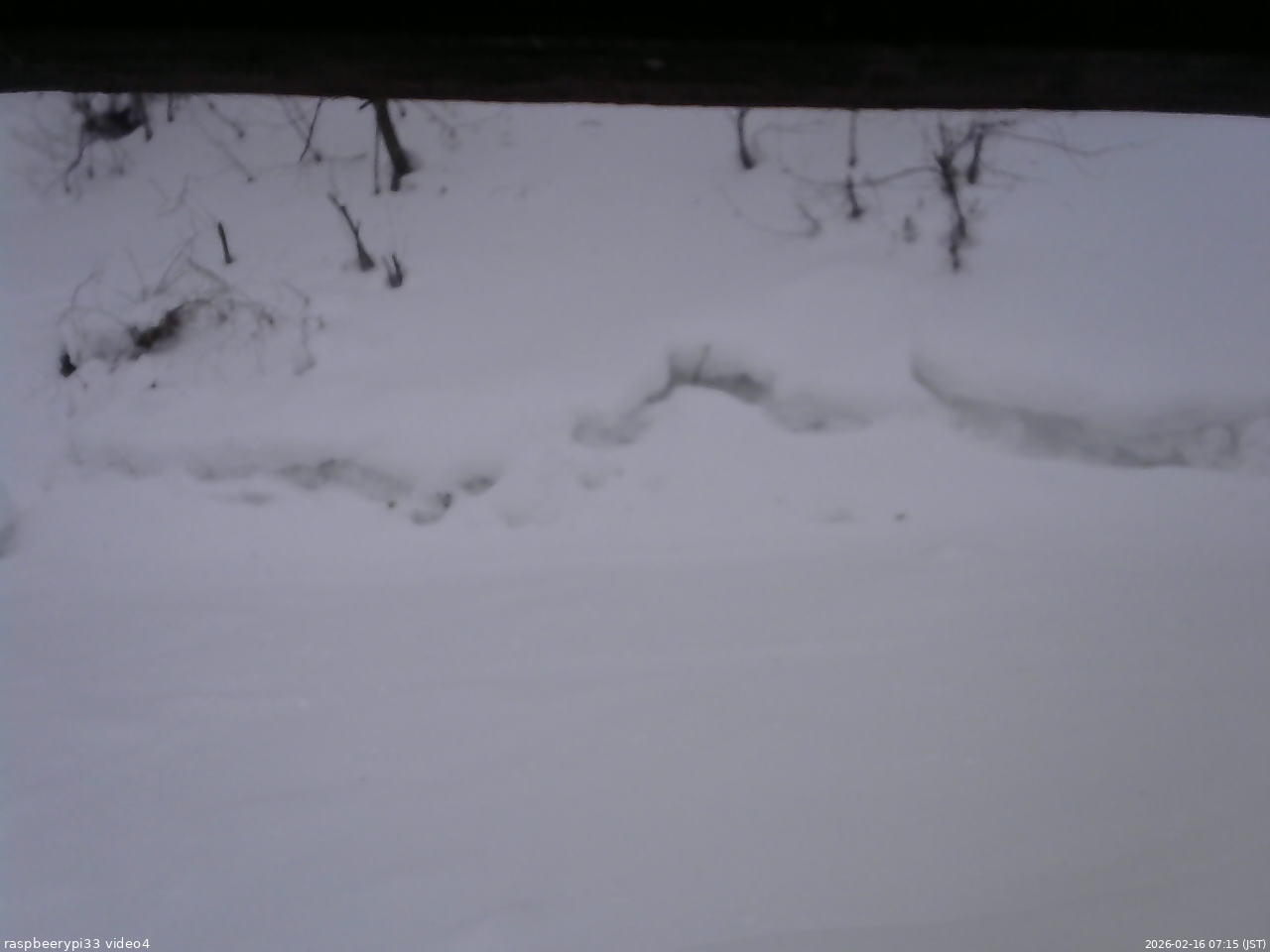 長野県菅平高原 ゆたか山荘 東側(坂下) 2026/02/16 07:15