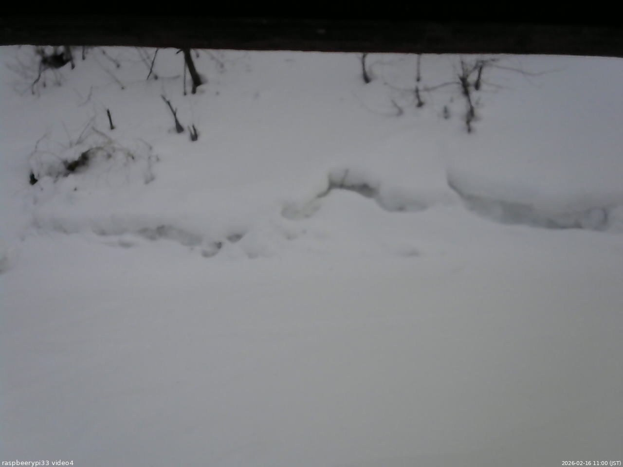 長野県菅平高原 ゆたか山荘 東側(坂下) 2026/02/16 11:00